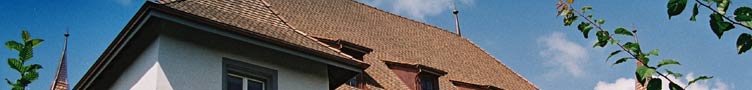 Polygone Constructions